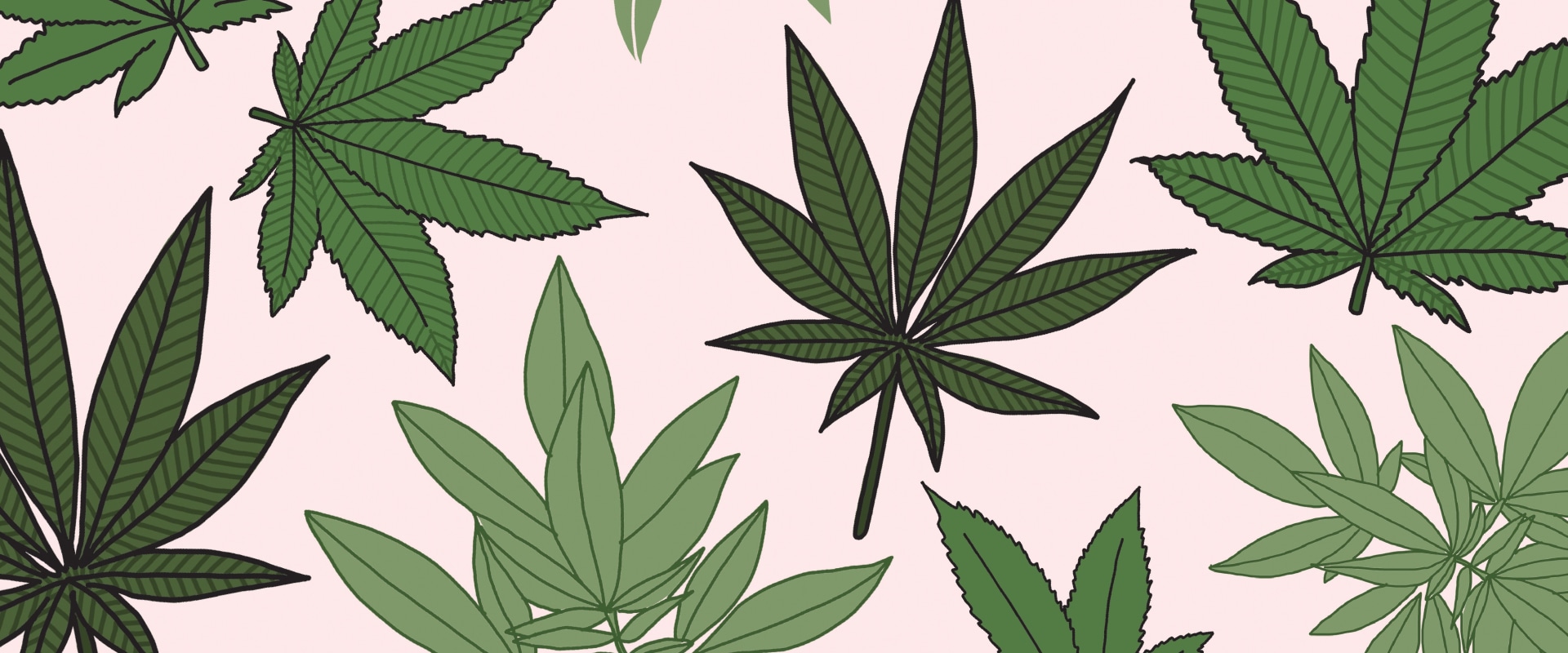 Who is eligible for medical marijuanas?