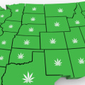 How many states have legalized marijuanas for medical use?