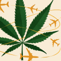 Can you fly with medical marijuanas?