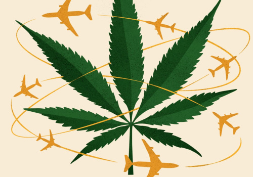 Can you fly with medical marijuanas?